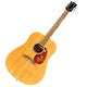 PSA/DNA Authenticated Darius Rucker Autographed Gibson Maestro MA41NACH6 Acoustic Guitar w/ COA Acoustic guitar on a blue textured surface