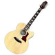 Sawtooth ST-MPL-AEJC-12 12-String Acoustic-Electric Guitar w/ Soft Case Acoustic guitar with a wooden body and dark fretboard on a wooden floor.