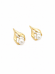 14K Yellow Gold White Pearl Earrings