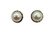 14K Yellow Gold Framed Mabe Pearl Stud Omega Earrings