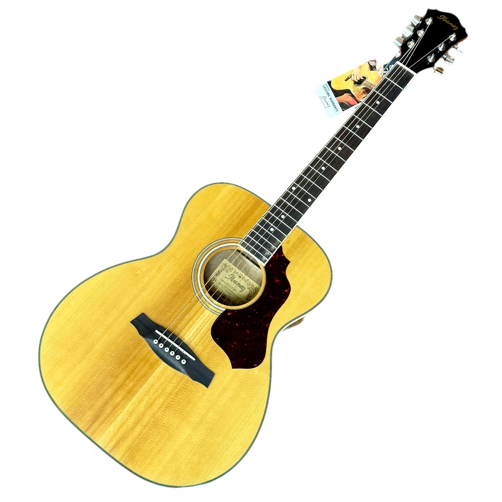 Ibanez SGT110-NT Acoustic Guitar