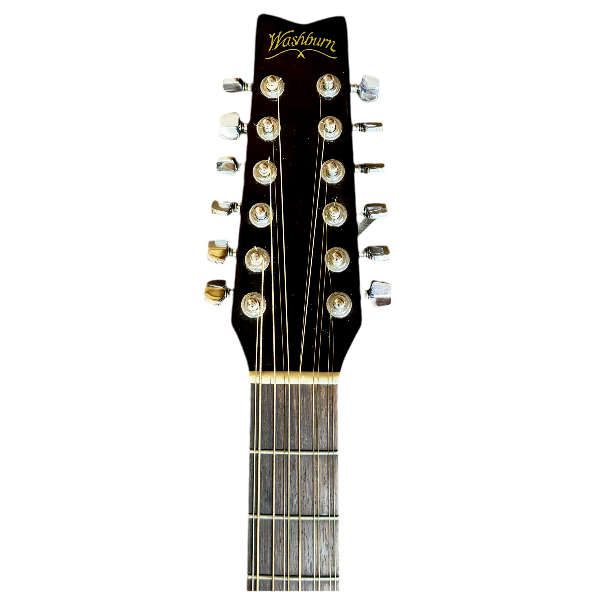 【希少】Washburn WoodStock-12 12弦ギター 186FFDFC-E785-4EC6-99C7-