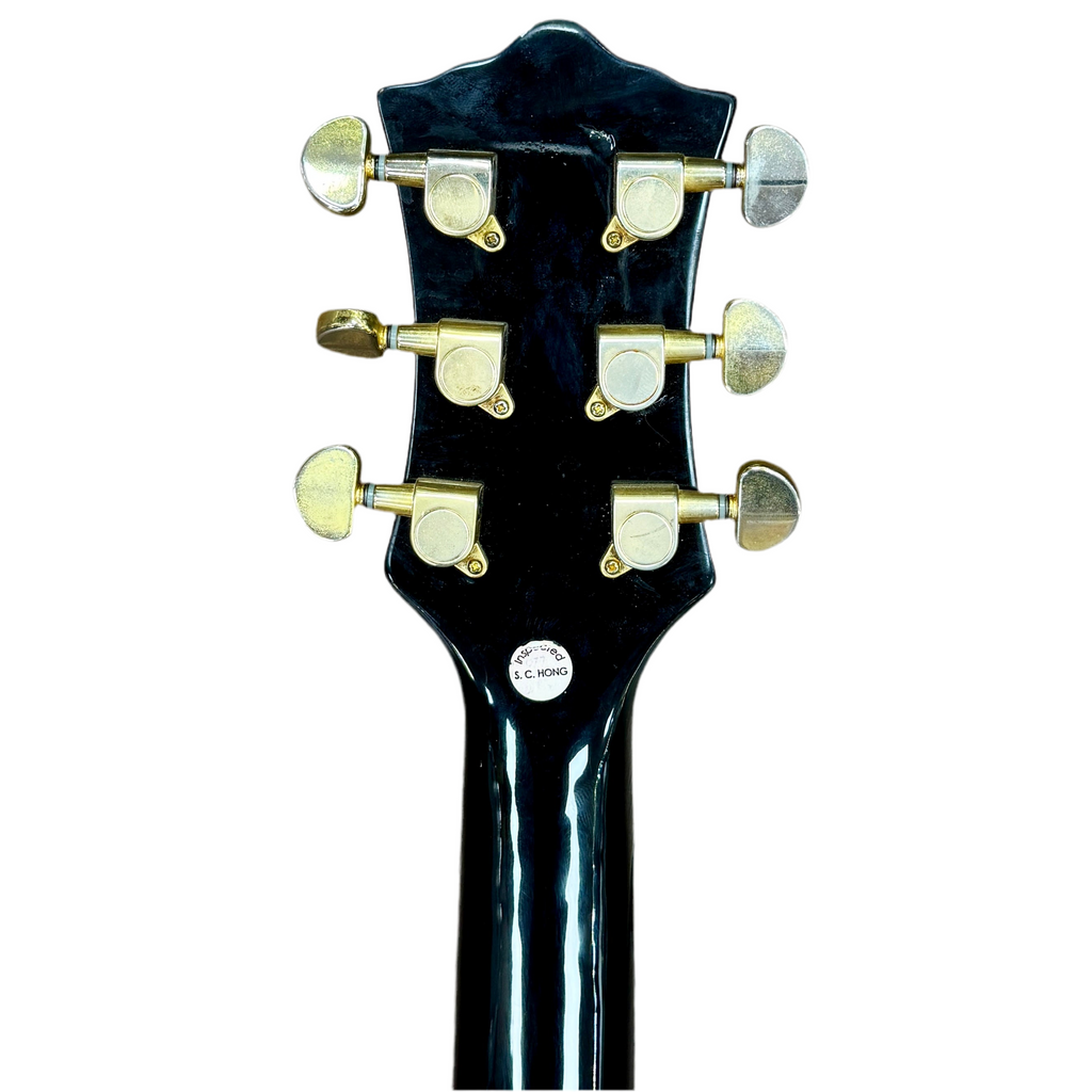 Arbor Les Paul Electric Guitar tune