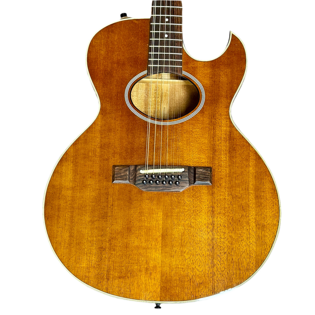 Washburn Woodstock-12 Acoustic-Electric Guitar base