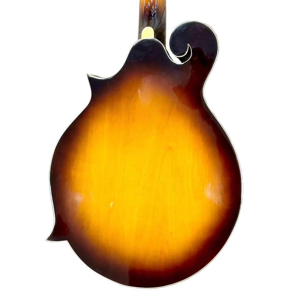 Rogue RM-100F F-Style Mandolin w/ Soft Case Fretless mandolin on a wooden floor