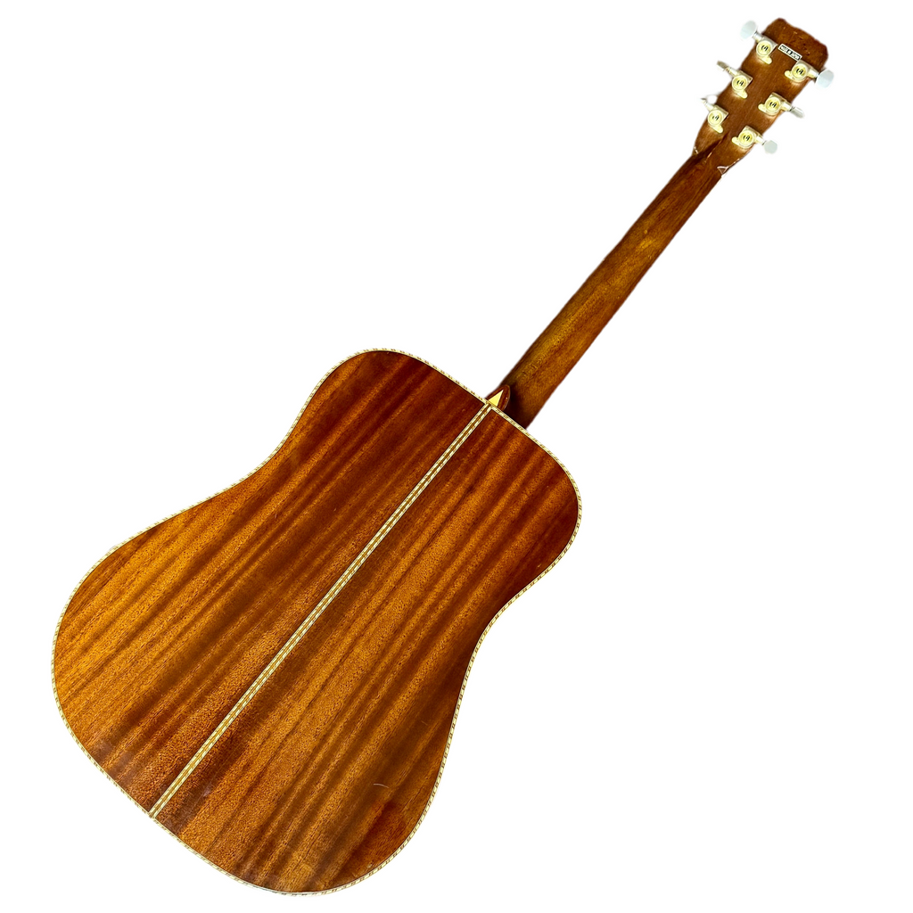 Aria Dreadnought AW-30 Acoustic Guitar w/ Hard Case Wooden acoustic guitar on a white background