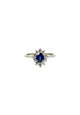 Platinum 65PT Sapphire & 25PT Diamond Halo Ring