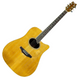 Washburn DC80 Charleston Acoustic Guitar Acoustic guitar with a cutaway design on a white background