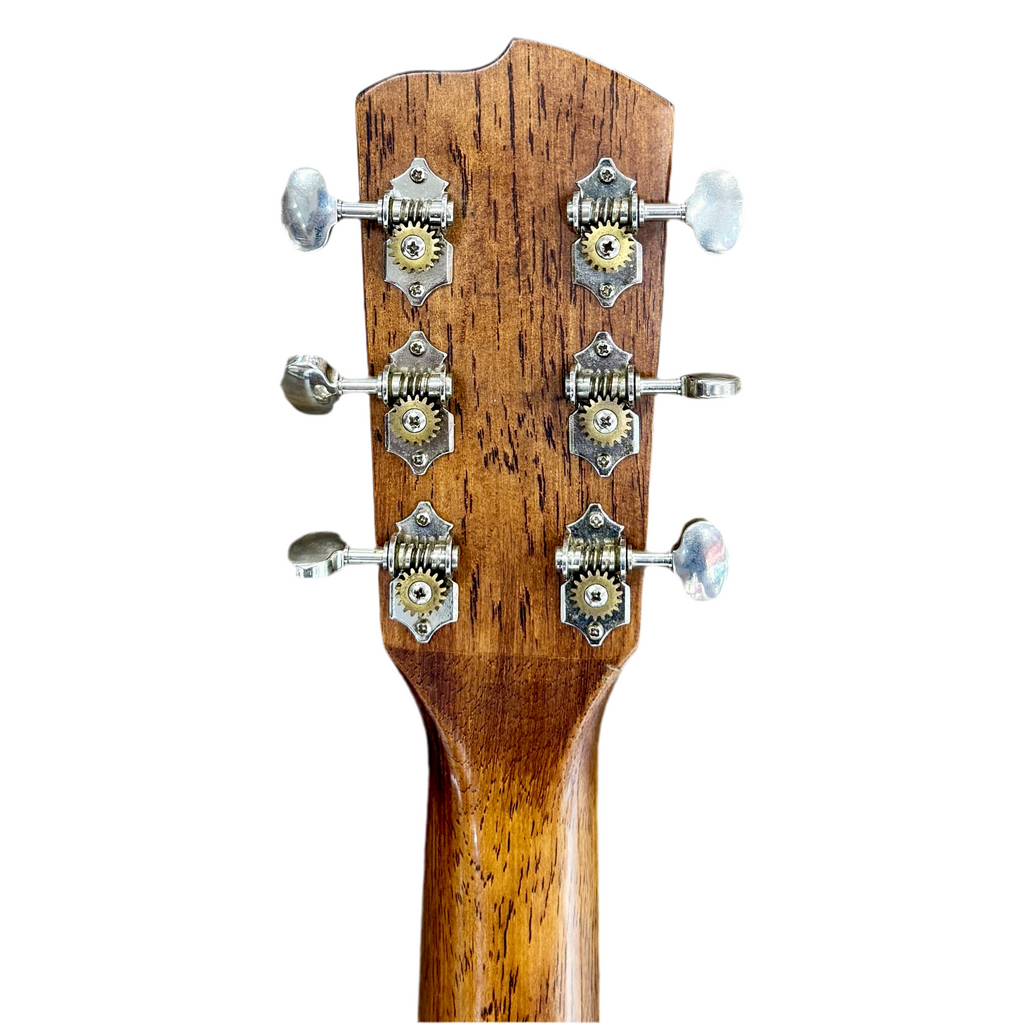 Breedlove Discovery Dreadnought MP Acoustic Guitar tune