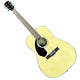Fender CLASSIC DESIGN SERIES CD-60S LH NAT Left-Handed Acoustic Guitar Acoustic guitar with Fender logo on a white background