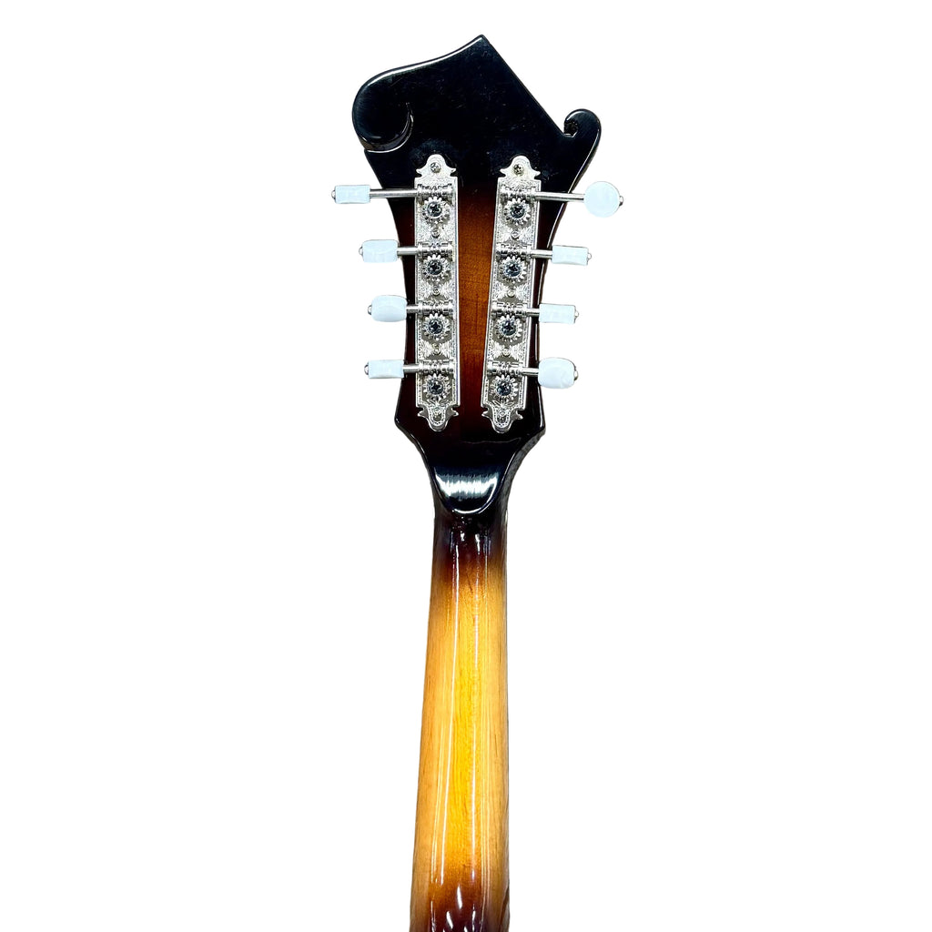 Rogue RM-100F F-Style Mandolin w/ Soft Case Guitar neck with tortoiseshell finish on a white background