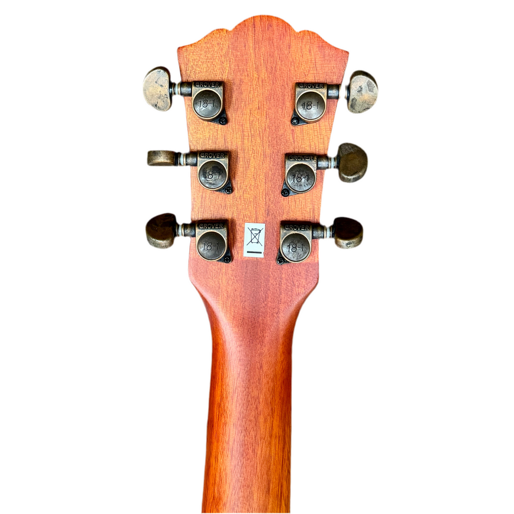Washburn HB-32 DM Semi-Hollow Electric Guitar tune