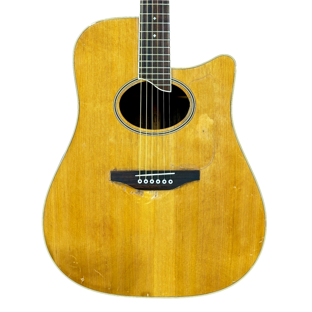 Washburn DC80 Charleston Acoustic Guitar base