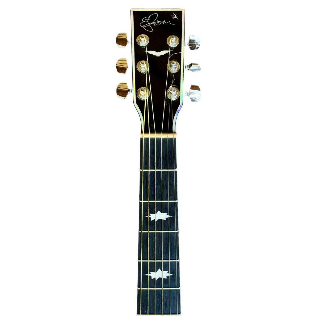 Esteban Celestial Night Limited Edition Acoustic-Electric Guitar headstock with brand logo on a white background