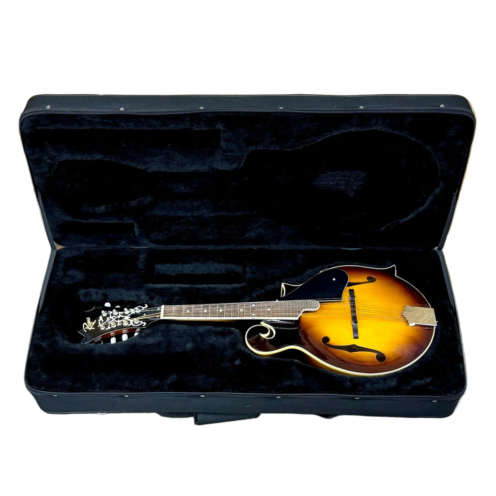 Rogue RM-100F F-Style Mandolin w/ Soft Case Mandolin in a black case on a white background