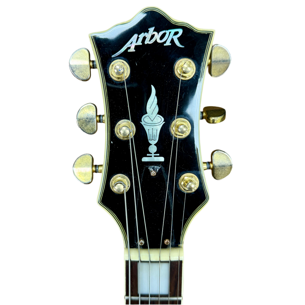 Arbor Les Paul Electric Guitar top