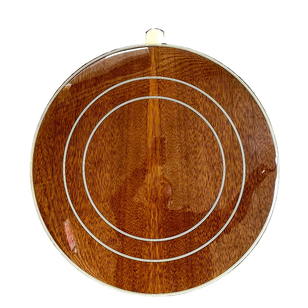 Epiphone MASTERTONE Classic Resonator Banjo w/ Hard Case closeup