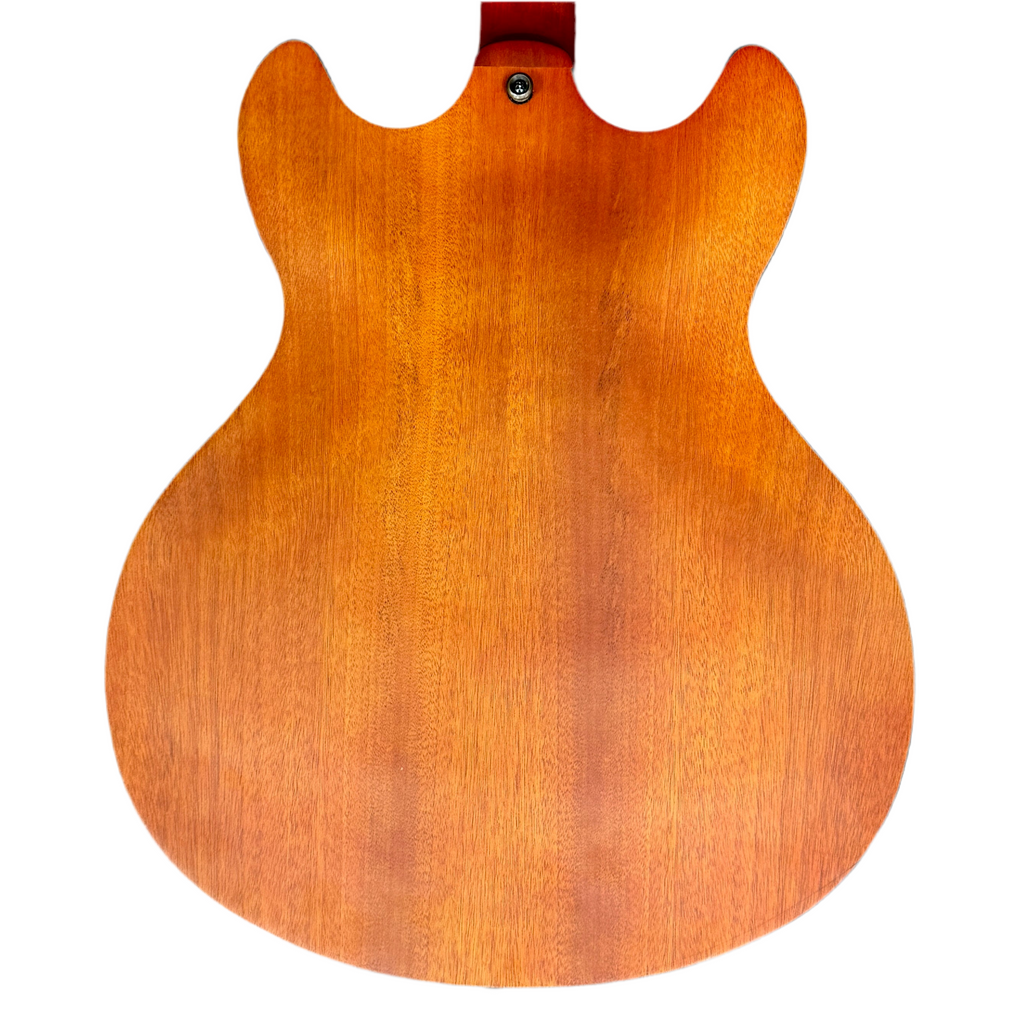 Washburn HB-32 DM Semi-Hollow Electric Guitar back