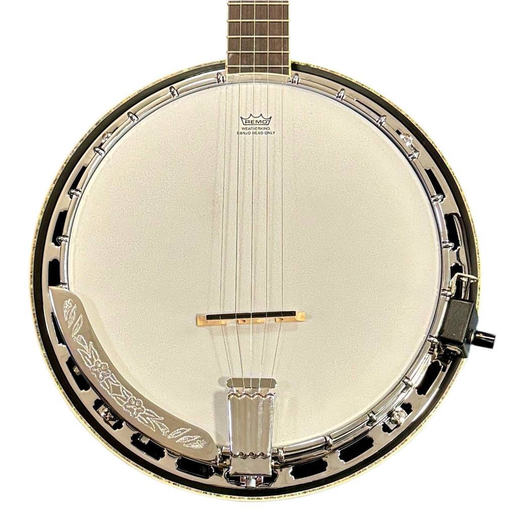 Ibanez B300 5-String Resonator Banjo w/ Hard Case Banjo with a white body and metallic rim on a white background