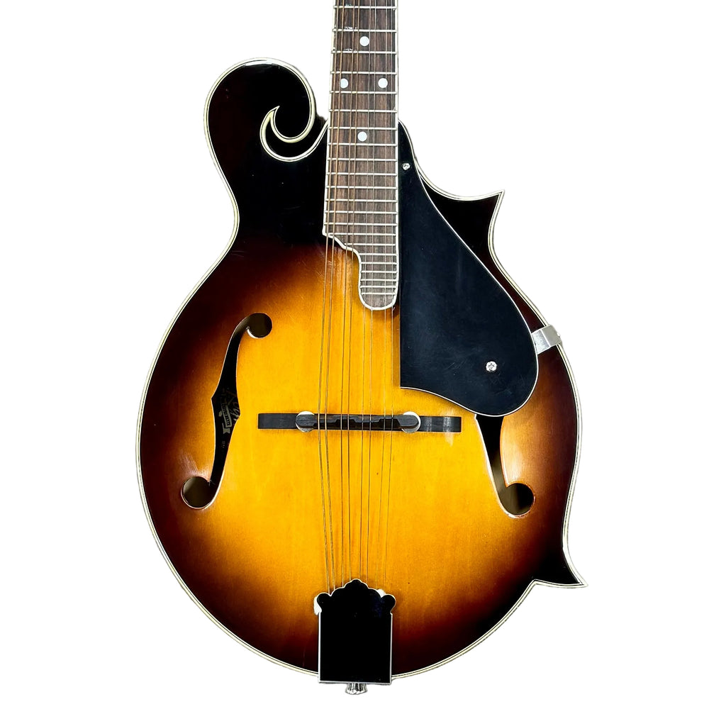 Rogue RM-100F F-Style Mandolin w/ Soft Case Folk mandolin on a wooden floor