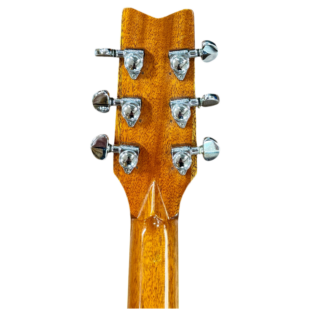 Washburn DC80 Charleston Acoustic Guitar Close-up of a guitar headstock with tuning pegs on a white background