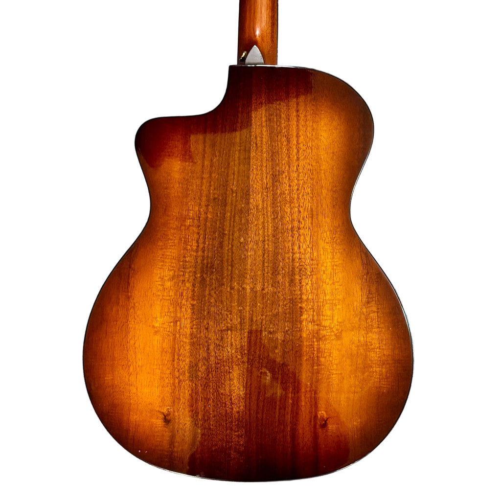 Taylor 224ce-K DLX Acoustic-Electric Guitar w/ Hard Case closeup