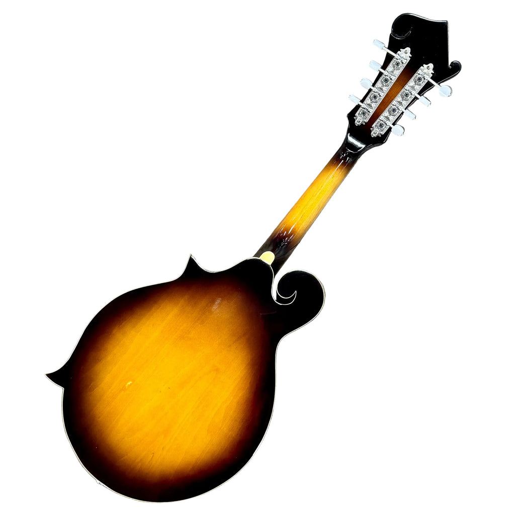 Rogue RM-100F F-Style Mandolin w/ Soft Case Fretted musical instrument with a sunburst finish on a white background