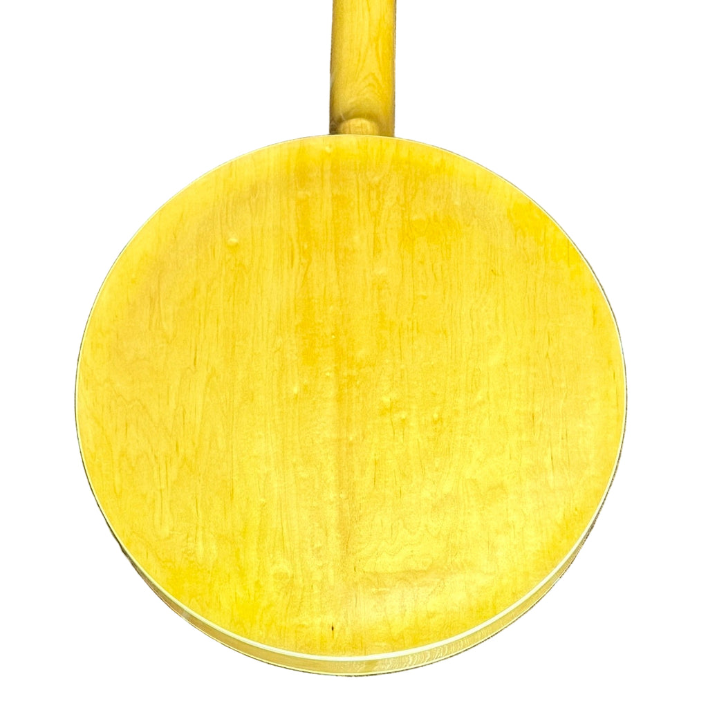 JDS JDB-2 Resonator Banjo w/ Hard Case closeup