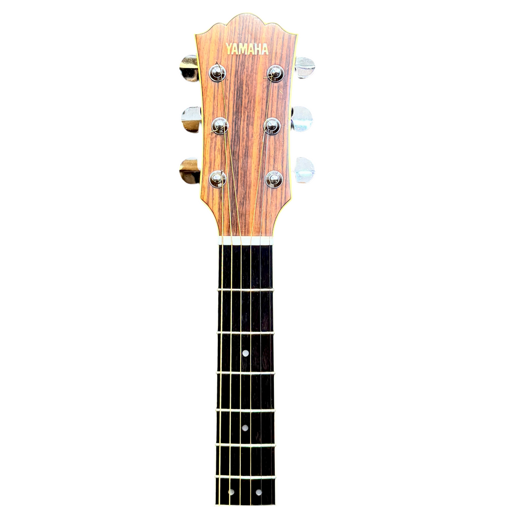 Yamaha CJ-818SB Jumbo Acoustic Guitar w/ Soft Case Yamaha guitar headstock on a white background