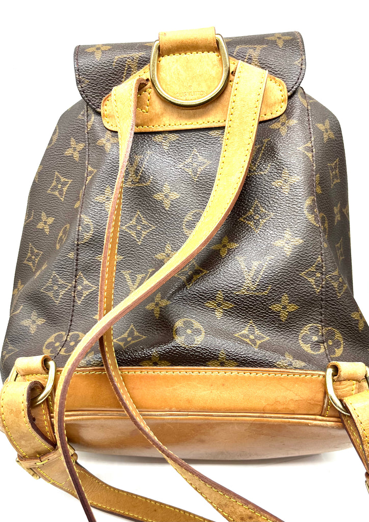 Louis Vuitton Montsouris PM Backpack back
