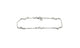 .925 Sterling Silver Dolphin Anklet