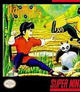 Cover of 'Kung Fu Panda' video game with character and panda illustration